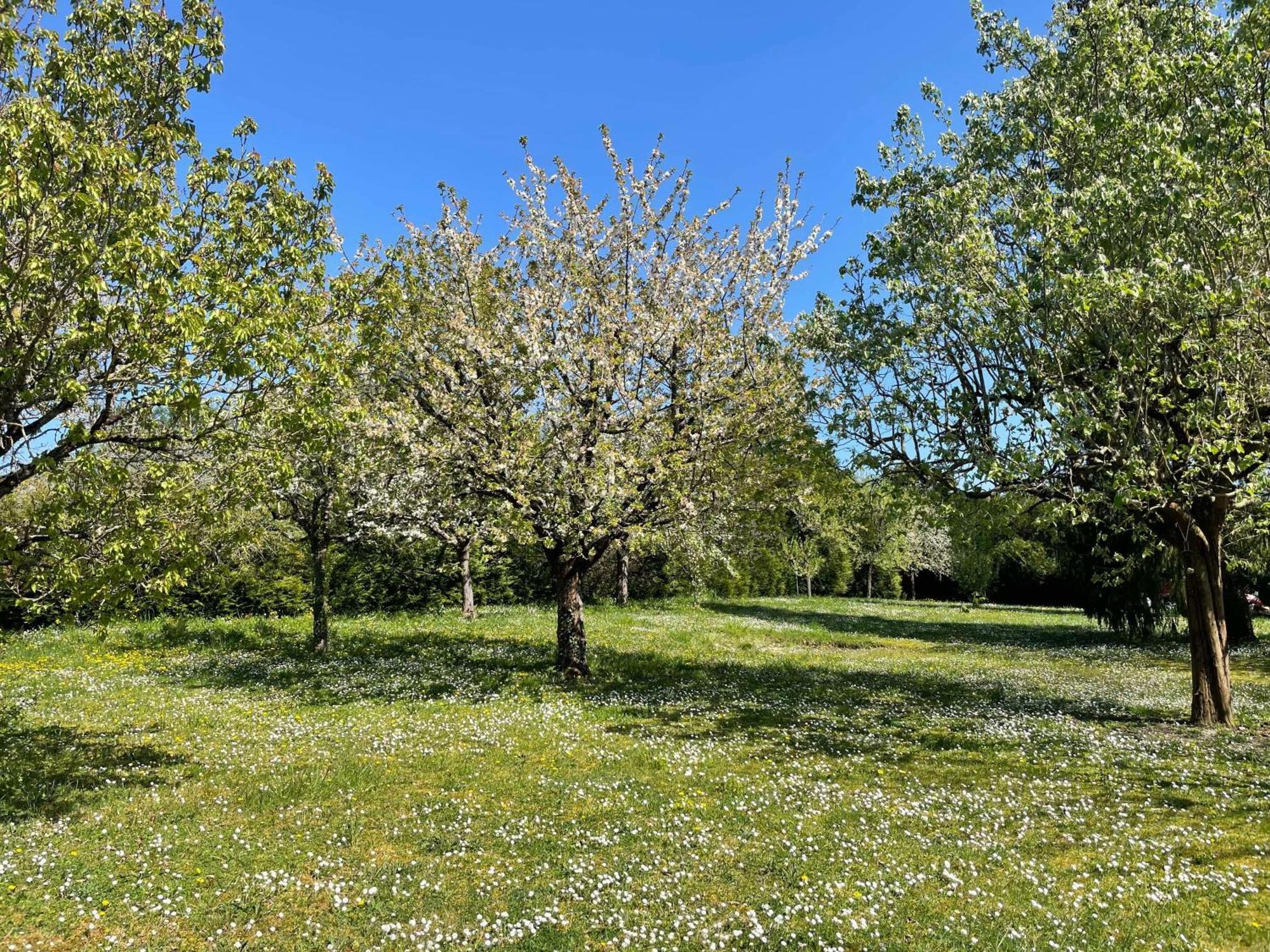 Des Roux Et Des Pious Suite De 35 A 60 M2 Et 3 Chambres Pour Groupe De 2 A 6 Personnes Civray-de-Touraine Exterior foto